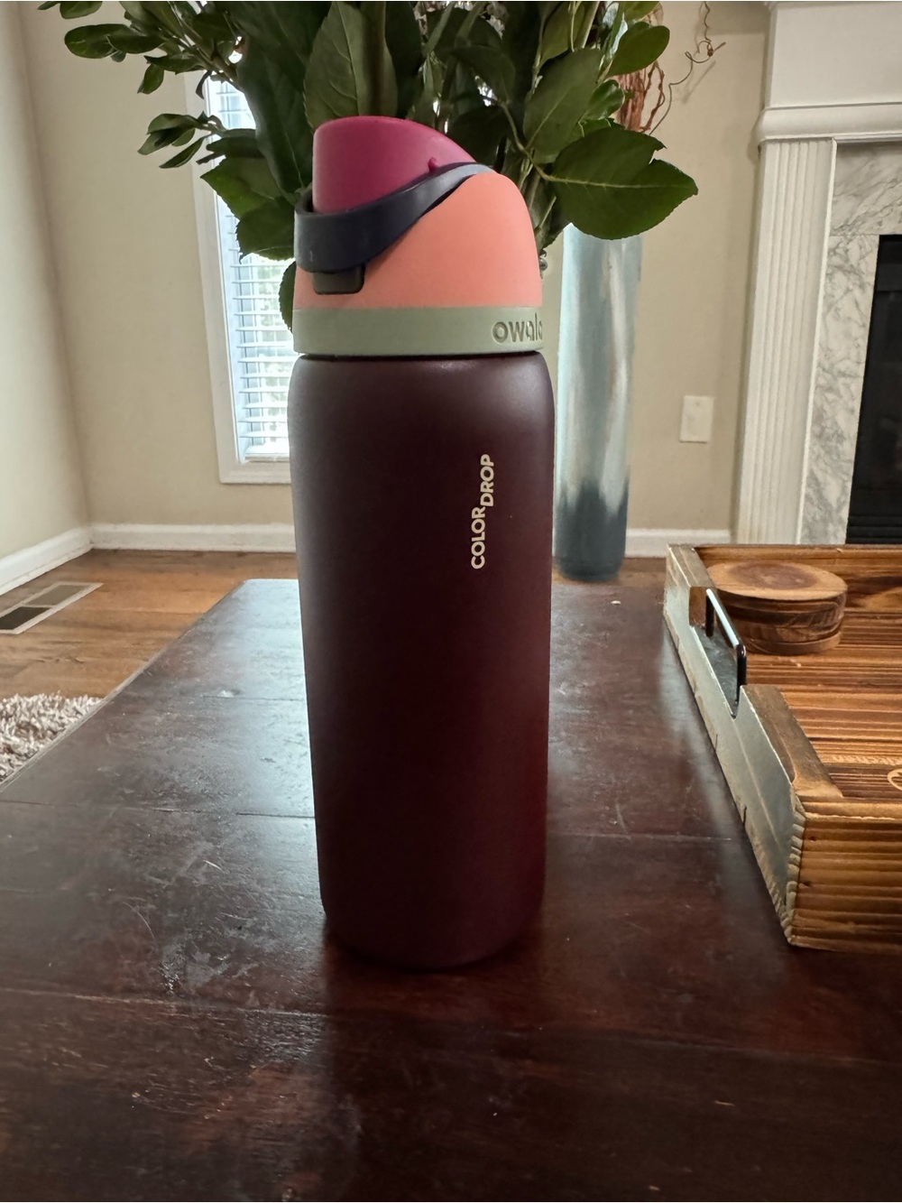 Owala ColorDrop Water FreeSip Velvet Moon